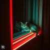 Tommy Gun - She Know's