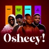 Jay Pizzle、Skales、official dj legend、reekardobanks - Osheey