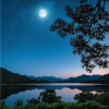 锋芒 - Moonlight