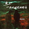 黄金麦哥 - 爱上一匹不回家的野马