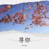 yeyong - 寻你