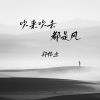 郑畅业 - 吹来吹去都是风