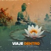 Meditação e Espiritualidade Musica Academia - Majestic Skies