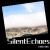 小姨和小姨夫 - Silent Echoes