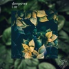 Sleepover - Luz