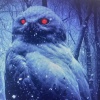 randomsoundguy、Nature Therapy、Naturalis、Algoritmarte - owls in the morning field (Ghost Owls)(feat. Nature Therapy & Naturalis)(Algoritmarte Remix)
