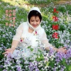 伊人家乡 - 人生如花