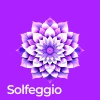 Hz Frequencies Solfeggio、432Hz Miracle Hz Tones、Healing Ambience Divine Soul Healing Spiritual Meditation Sounds - Pure 528 Hz