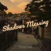 Сонор Баев - Shadows Messing