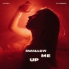 Dj Rey、Starseed - Swallow me up