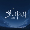刘纯 - 望不到月圆