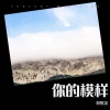 胡敬尧 - 你的模样
