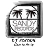 DJ Cocodil - Close To Me