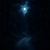 Baltic Nature Sounds、Natural Sounds、Sleep Music Lullabies - Center Gravity