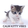 Cat Music - Calm Kitty Vibes