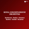 Nikolaus Harnoncourt - I. Allegretto