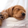 Music for Leaving Dogs Home Alone - Woof Dreams
