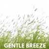 Silentography - Gentle Breeze