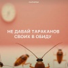 Zlatentsia - Не давай тараканов своих в обиду