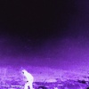 Kriss - somethings coming..