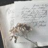 Diaphane - Invitation letter