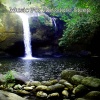 Sleepy Night Music、Music For Absolute Sleep、SleepTherapy - Absolute Sleep Tranquility