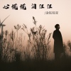 金钰双双 - 心慌慌 泪汪汪