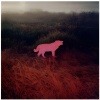 Absurdo - P!NK DØG