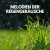 Regengeräusche Orchester von TraxLab - Sanfter musikalischer Hintergrund (mit Regengeräuschen)