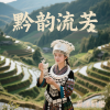 春泽野樱 - 黔韵流芳