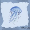 Yanchard观观 - Jellyfish