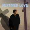 Layzerd - Destined Love