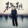 小阿枫 - 某年某月