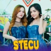 Lala Widy、Ajeng Febria、Ageng Music - Stecu