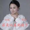 影子 - 若是认真就输了 (DJ版)