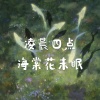 道明五 - 凌晨四点海棠花未眠