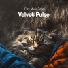 Cats Music Zone - Hiding Dinner