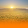 Easy Sleep Music - Calming Healing Music And Peaceful Ambient Soundscapes With Gentle Piano For Stress Relief And Mental Clarity