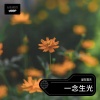 爱在雲天 - 一念生光