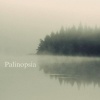 Palinopsia - Linger