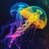 Musica Relajante、Músicas Para Relaxar、Canciones Infantiles Para Niños - Undersea PeacefulMeditation Underwater65