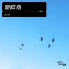 岳同琴 - 爱尽殇