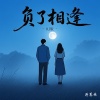 蒋蕙林 - 负了相逢 (DJ版)