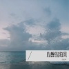 方金环 - 心醉的海风