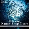 Ocean Waves for Deep Sleep - gentle ocean waves