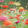 RELAX MUSIC BOX - パプリカ (オルゴールカバー)