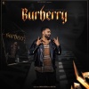 Aakash Grewal、Cheetah - Burberry