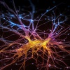 Solfeggio Frequencies Tones - Pathways Rewritten