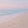 Coastal Sounds、Musica Relajante、Snoozify - Harmonic Waters
