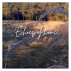 the fool - Echoes of home